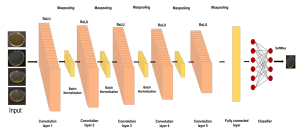 Model architecture used for classification of honey adulteration with varying sugar syrup concentrations.png